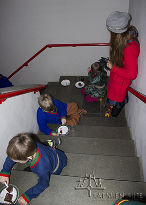 saemien sijte, trangt, nybygg, nytthus, Snåsa, samisk, samer, museum, sørsamisk, samisk, 6. februar, samefolkets dag,